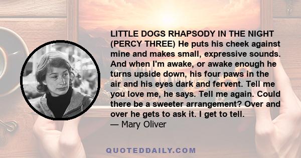 LITTLE DOGS RHAPSODY IN THE NIGHT (PERCY THREE) He puts his cheek against mine and makes small, expressive sounds. And when I'm awake, or awake enough he turns upside down, his four paws in the air and his eyes dark and 