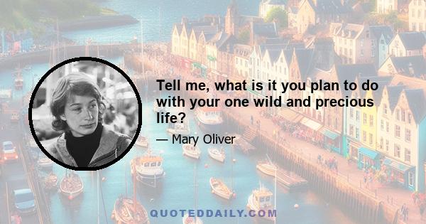 Tell me, what is it you plan to do with your one wild and precious life?