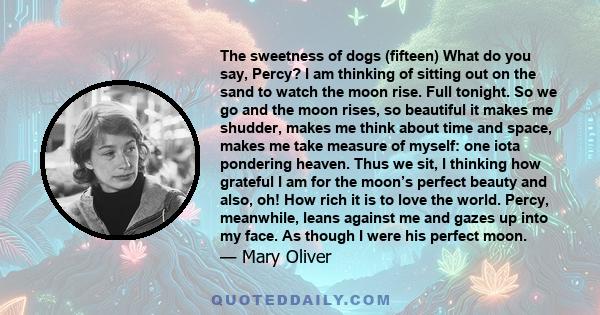 The sweetness of dogs (fifteen) What do you say, Percy? I am thinking of sitting out on the sand to watch the moon rise. Full tonight. So we go and the moon rises, so beautiful it makes me shudder, makes me think about