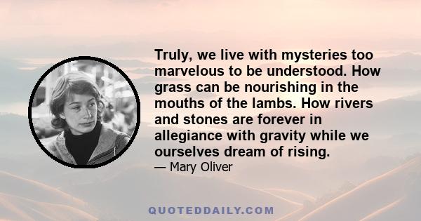 Truly, we live with mysteries too marvelous to be understood. How grass can be nourishing in the mouths of the lambs. How rivers and stones are forever in allegiance with gravity while we ourselves dream of rising.