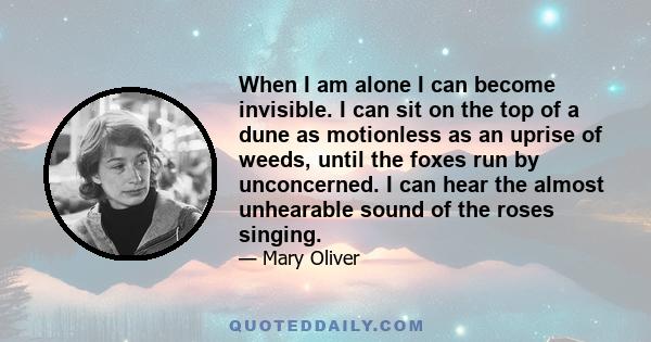 When I am alone I can become invisible. I can sit on the top of a dune as motionless as an uprise of weeds, until the foxes run by unconcerned. I can hear the almost unhearable sound of the roses singing.