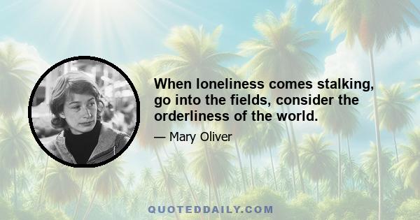 When loneliness comes stalking, go into the fields, consider the orderliness of the world.