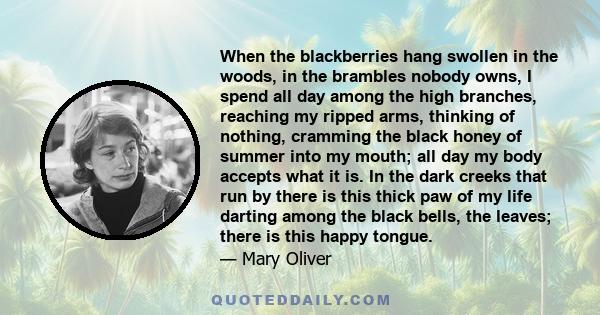 When the blackberries hang swollen in the woods, in the brambles nobody owns, I spend all day among the high branches, reaching my ripped arms, thinking of nothing, cramming the black honey of summer into my mouth; all