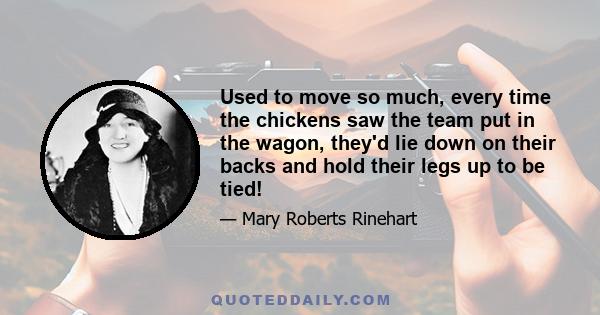 Used to move so much, every time the chickens saw the team put in the wagon, they'd lie down on their backs and hold their legs up to be tied!