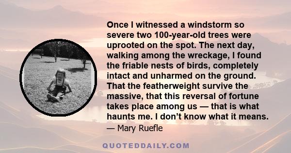 Once I witnessed a windstorm so severe two 100-year-old trees were uprooted on the spot. The next day, walking among the wreckage, I found the friable nests of birds, completely intact and unharmed on the ground. That