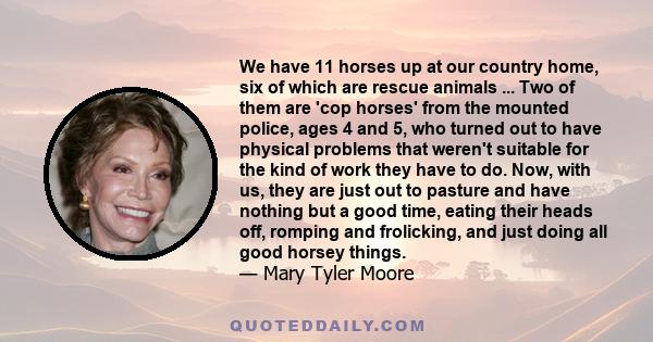 We have 11 horses up at our country home, six of which are rescue animals ... Two of them are 'cop horses' from the mounted police, ages 4 and 5, who turned out to have physical problems that weren't suitable for the