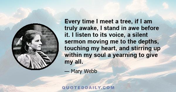 Every time I meet a tree, if I am truly awake, I stand in awe before it. I listen to its voice, a silent sermon moving me to the depths, touching my heart, and stirring up within my soul a yearning to give my all.