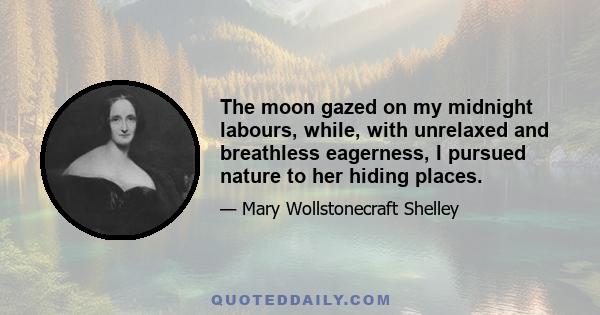 The moon gazed on my midnight labours, while, with unrelaxed and breathless eagerness, I pursued nature to her hiding places.