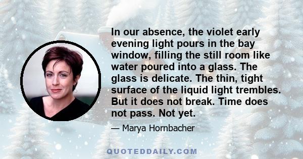 In our absence, the violet early evening light pours in the bay window, filling the still room like water poured into a glass. The glass is delicate. The thin, tight surface of the liquid light trembles. But it does not 