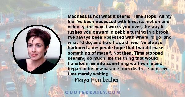 Madness is not what it seems. Time stops. All my life I've been obsessed with time, its motion and velocity, the way it works you over, the way it rushes you onward, a pebble turning in a brook. I've always been