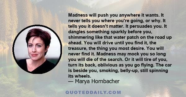 Madness will push you anywhere it wants. It never tells you where you're going, or why. It tells you it doesn't matter. It persuades you. It dangles something sparkly before you, shimmering like that water patch on the