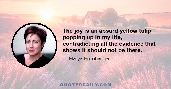 The joy is an absurd yellow tulip, popping up in my life, contradicting all the evidence that shows it should not be there.