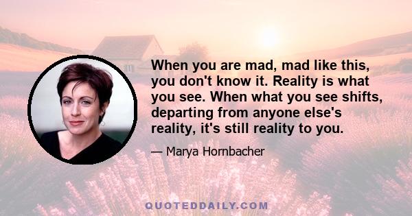 When you are mad, mad like this, you don't know it. Reality is what you see. When what you see shifts, departing from anyone else's reality, it's still reality to you.