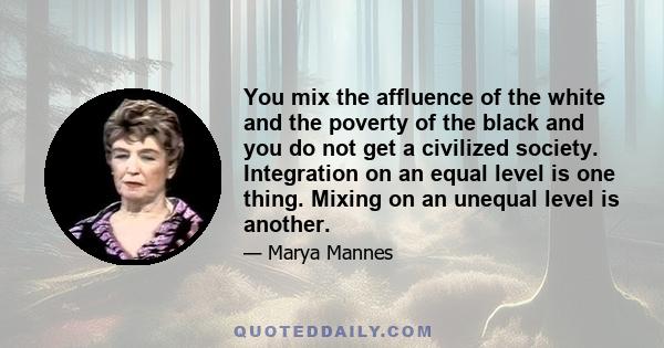 You mix the affluence of the white and the poverty of the black and you do not get a civilized society. Integration on an equal level is one thing. Mixing on an unequal level is another.