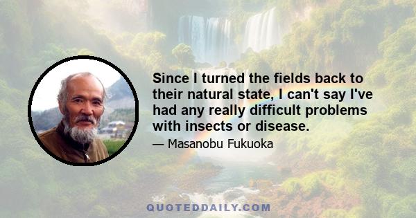 Since I turned the fields back to their natural state, I can't say I've had any really difficult problems with insects or disease.