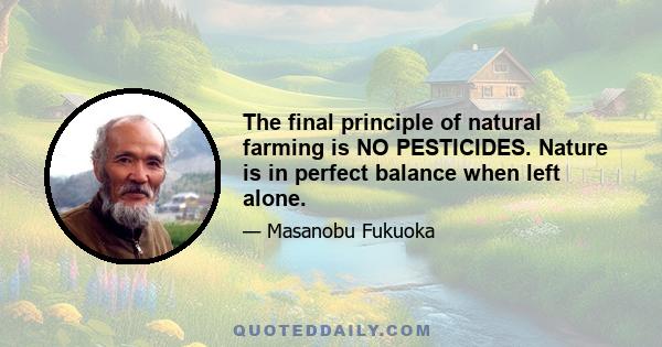 The final principle of natural farming is NO PESTICIDES. Nature is in perfect balance when left alone.