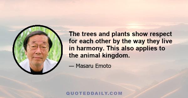 The trees and plants show respect for each other by the way they live in harmony. This also applies to the animal kingdom.