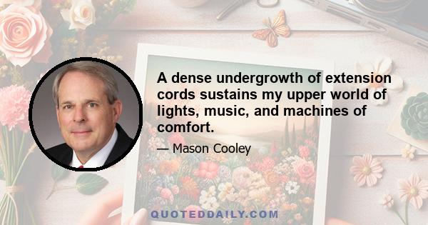 A dense undergrowth of extension cords sustains my upper world of lights, music, and machines of comfort.