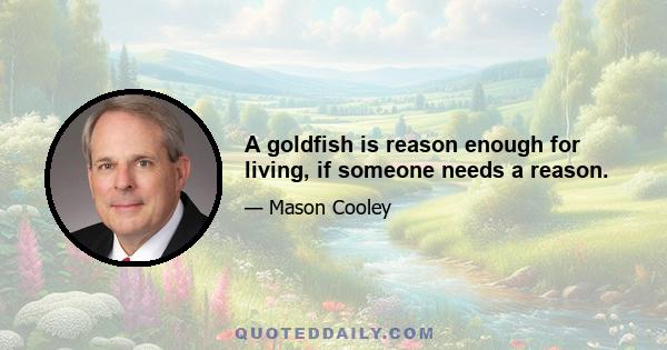 A goldfish is reason enough for living, if someone needs a reason.