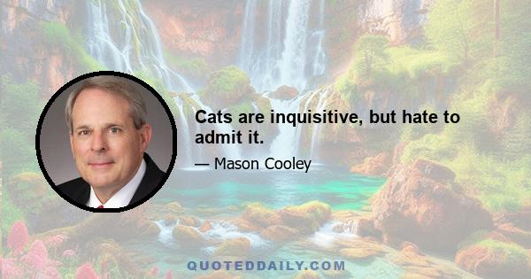 Cats are inquisitive, but hate to admit it.