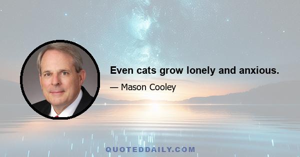 Even cats grow lonely and anxious.