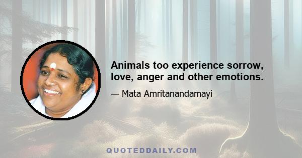 Animals too experience sorrow, love, anger and other emotions.