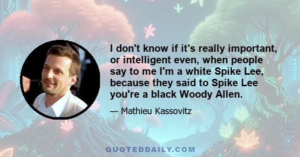 I don't know if it's really important, or intelligent even, when people say to me I'm a white Spike Lee, because they said to Spike Lee you're a black Woody Allen.