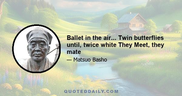 Ballet in the air... Twin butterflies until, twice white They Meet, they mate