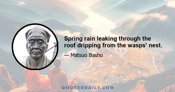 Spring rain leaking through the roof dripping from the wasps' nest.