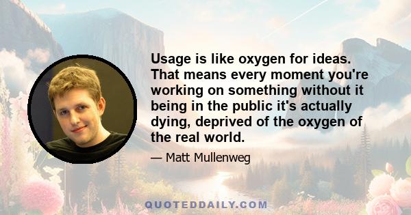 Usage is like oxygen for ideas. That means every moment you're working on something without it being in the public it's actually dying, deprived of the oxygen of the real world.