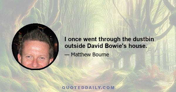 I once went through the dustbin outside David Bowie's house.