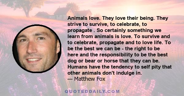 Animals love. They love their being. They strive to survive, to celebrate, to propagate . So certainly something we learn from animals is love. To survive and to celebrate, propagate and to love life. To be the best we