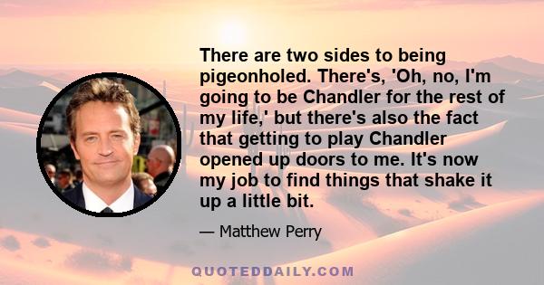 There are two sides to being pigeonholed. There's, 'Oh, no, I'm going to be Chandler for the rest of my life,' but there's also the fact that getting to play Chandler opened up doors to me. It's now my job to find