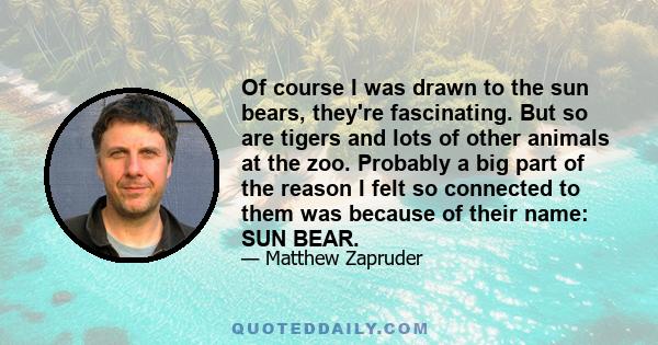 Of course I was drawn to the sun bears, they're fascinating. But so are tigers and lots of other animals at the zoo. Probably a big part of the reason I felt so connected to them was because of their name: SUN BEAR.