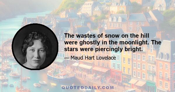 The wastes of snow on the hill were ghostly in the moonlight. The stars were piercingly bright.