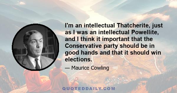 I'm an intellectual Thatcherite, just as I was an intellectual Powellite, and I think it important that the Conservative party should be in good hands and that it should win elections.