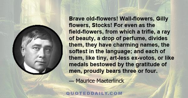 Brave old-flowers! Wall-flowers, Gilly flowers, Stocks! For even as the field-flowers, from which a trifle, a ray of beauty, a drop of perfume, divides them, they have charming names, the softest in the language; and