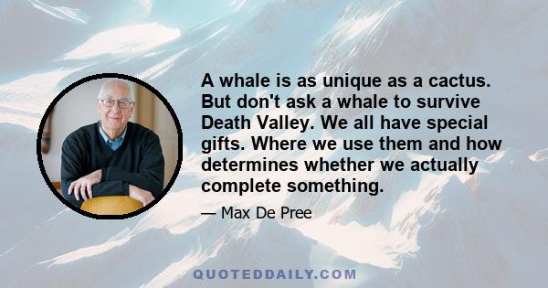 A whale is as unique as a cactus. But don't ask a whale to survive Death Valley. We all have special gifts. Where we use them and how determines whether we actually complete something.