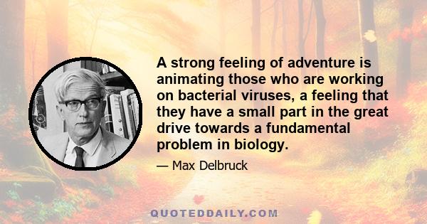 A strong feeling of adventure is animating those who are working on bacterial viruses, a feeling that they have a small part in the great drive towards a fundamental problem in biology.