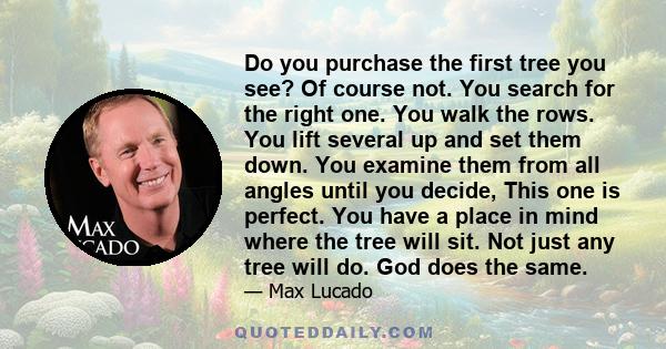 Do you purchase the first tree you see? Of course not. You search for the right one. You walk the rows. You lift several up and set them down. You examine them from all angles until you decide, This one is perfect. You