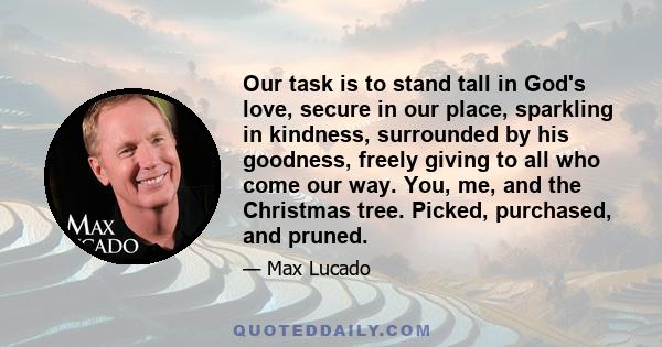 Our task is to stand tall in God's love, secure in our place, sparkling in kindness, surrounded by his goodness, freely giving to all who come our way. You, me, and the Christmas tree. Picked, purchased, and pruned.