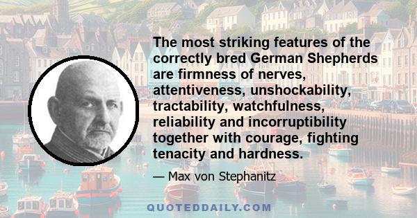The most striking features of the correctly bred German Shepherds are firmness of nerves, attentiveness, unshockability, tractability, watchfulness, reliability and incorruptibility together with courage, fighting