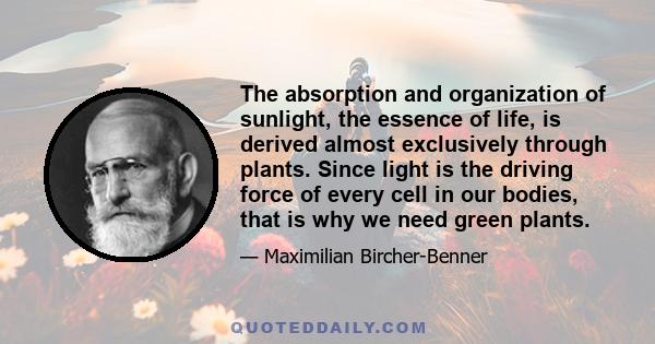 The absorption and organization of sunlight, the essence of life, is derived almost exclusively through plants. Since light is the driving force of every cell in our bodies, that is why we need green plants.