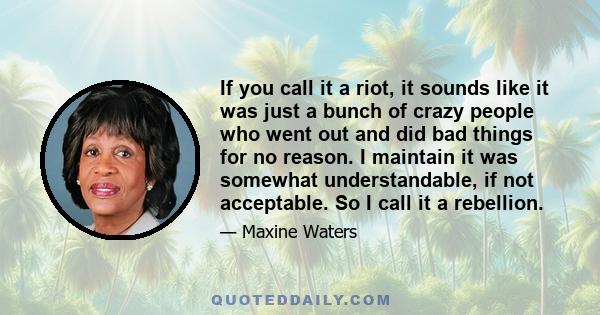 If you call it a riot, it sounds like it was just a bunch of crazy people who went out and did bad things for no reason. I maintain it was somewhat understandable, if not acceptable. So I call it a rebellion.