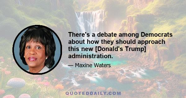 There's a debate among Democrats about how they should approach this new [Donald's Trump] administration.