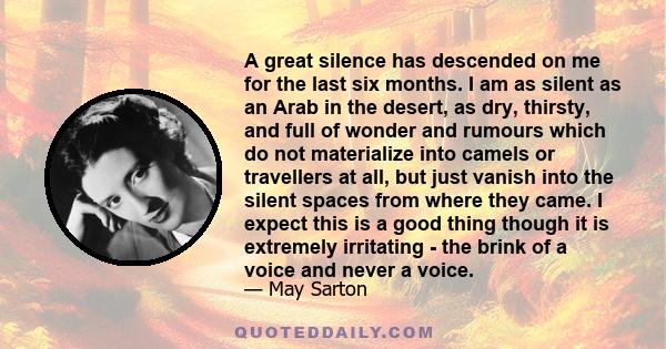 A great silence has descended on me for the last six months. I am as silent as an Arab in the desert, as dry, thirsty, and full of wonder and rumours which do not materialize into camels or travellers at all, but just