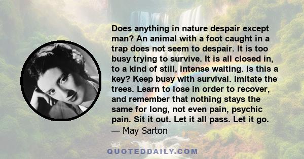 Does anything in nature despair except man? An animal with a foot caught in a trap does not seem to despair. It is too busy trying to survive. It is all closed in, to a kind of still, intense waiting. Is this a key?