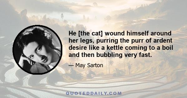 He [the cat] wound himself around her legs, purring the purr of ardent desire like a kettle coming to a boil and then bubbling very fast.