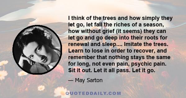 I think of the trees and how simply they let go, let fall the riches of a season, how without grief (it seems) they can let go and go deep into their roots for renewal and sleep.... Imitate the trees. Learn to lose in