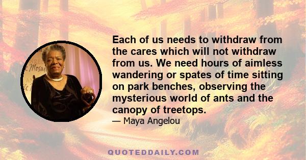 Each of us needs to withdraw from the cares which will not withdraw from us. We need hours of aimless wandering or spates of time sitting on park benches, observing the mysterious world of ants and the canopy of